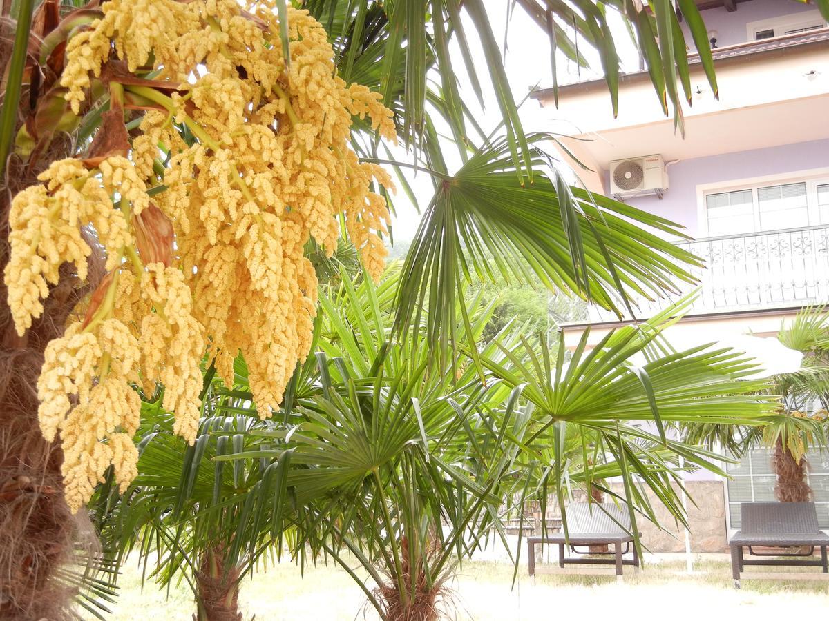 Villa Laurea 로브란 외부 사진
